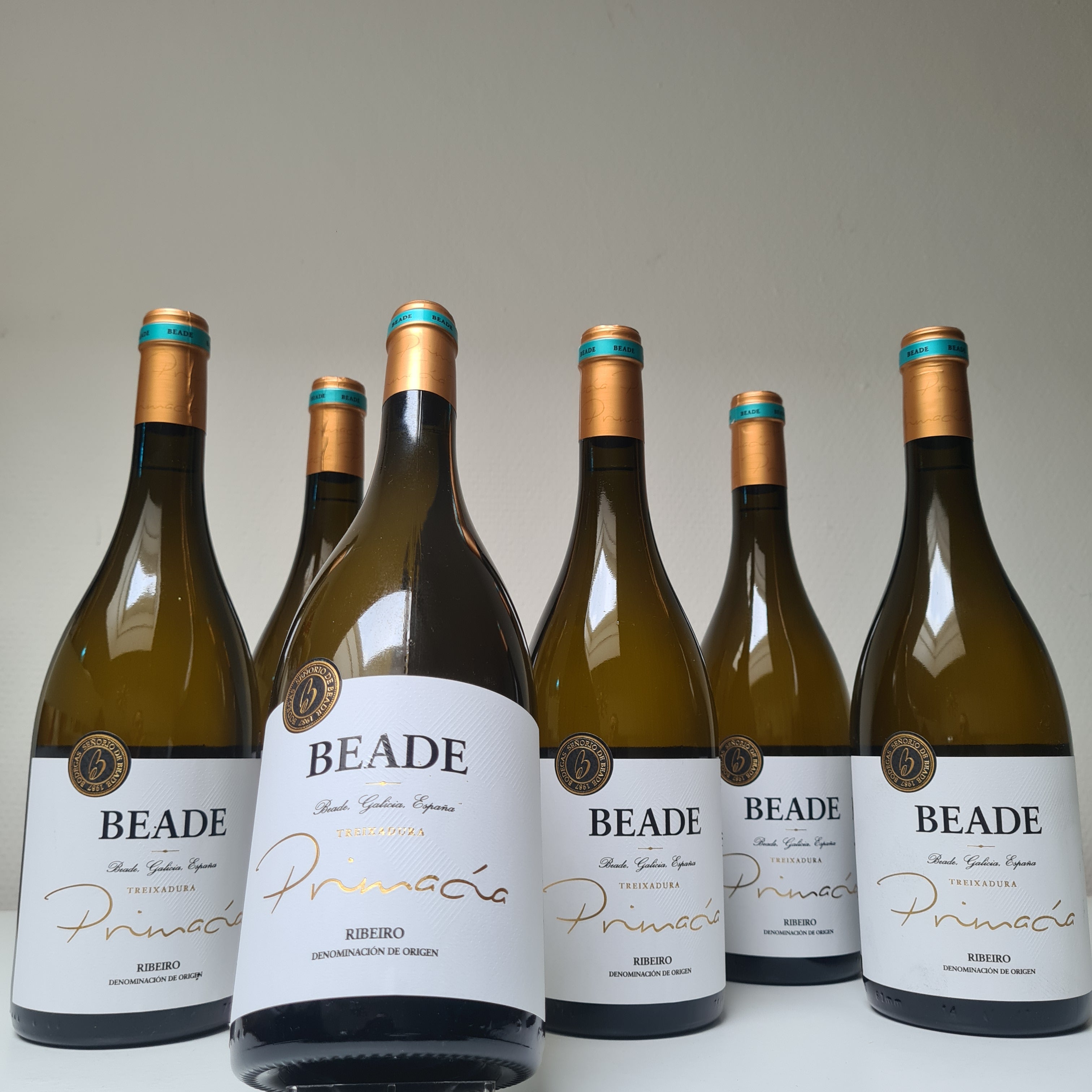 Wijndoos 6 flessen Wit :  Treixadura Beade Primacia Ribeiro Spanje